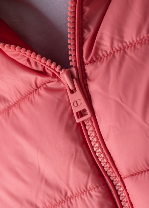 Champion pavasara-rudens virsjaka