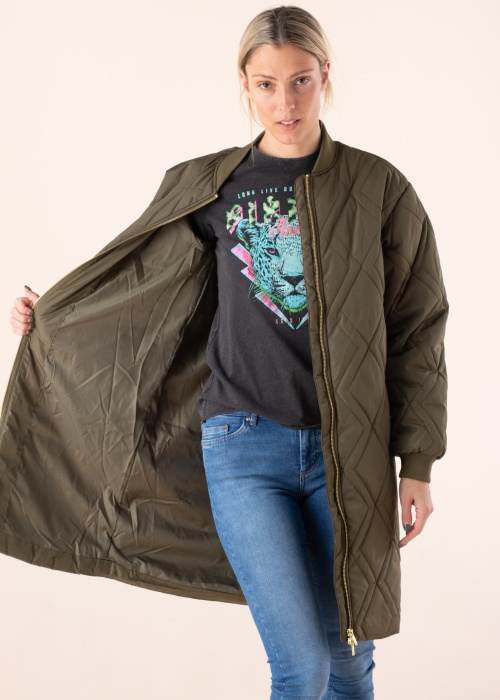 Noisy May pavasara-rudens virsjaka Ziggy