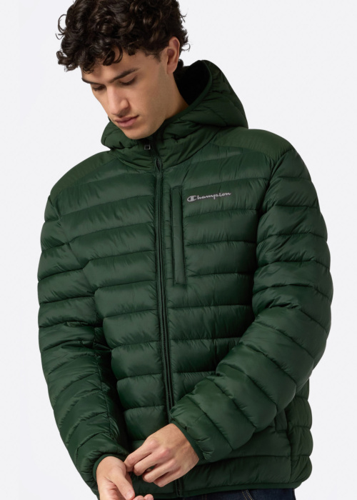 Champion pavasara-rudens virsjaka