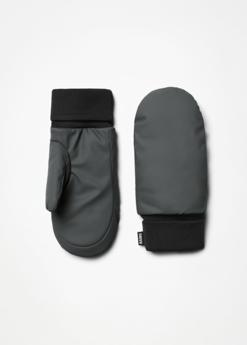 Зимние перчатки Alta Puffer W2T3 Rains