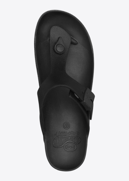 Scholl iešļūcenes Bahia