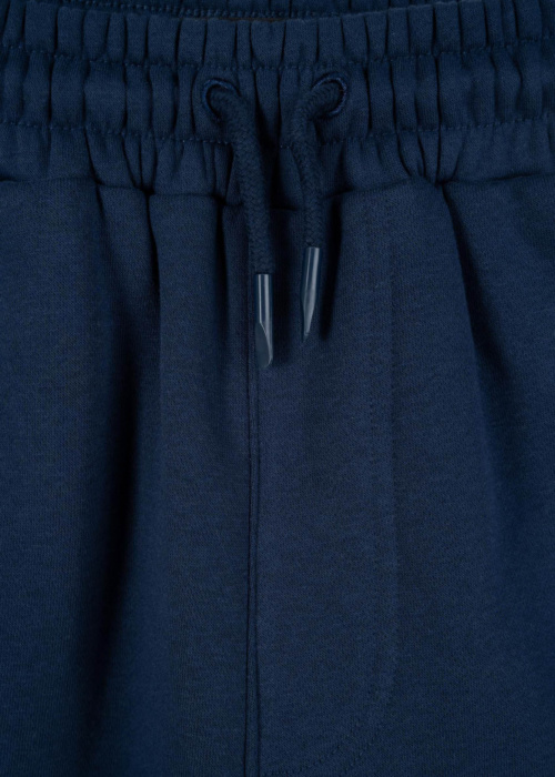 Спортивные штаны Reporter Young