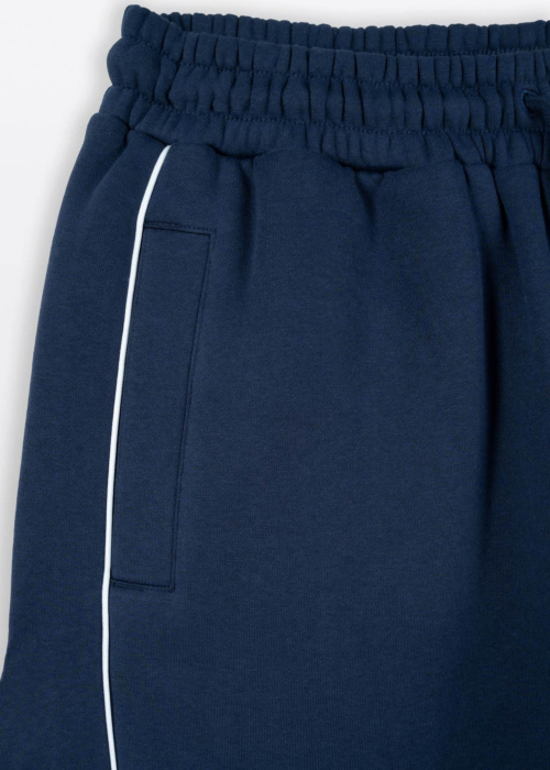 Спортивные штаны Reporter Young