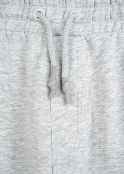 Спортивные штаны Reporter Young