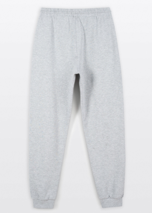 Спортивные штаны Reporter Young