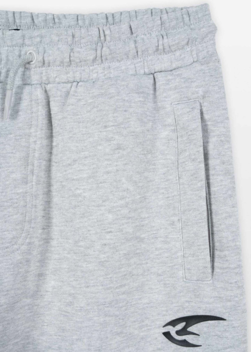 Спортивные штаны Reporter Young