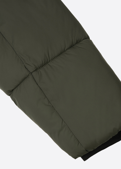 Icepeak ziemas metelis Alfedo