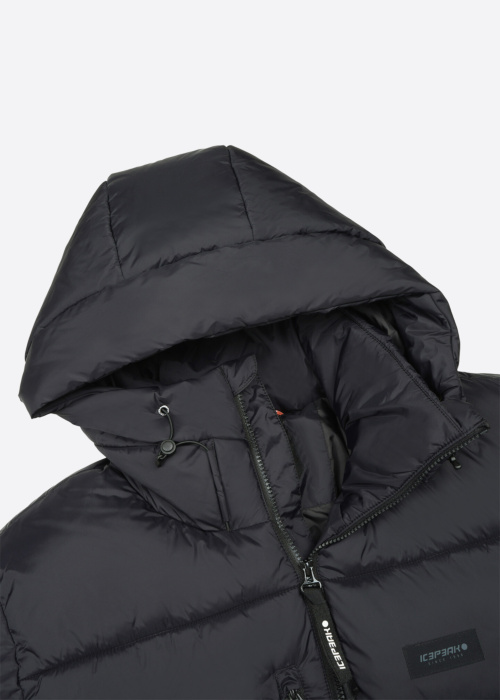 Icepeak ziemas metelis Alfedo
