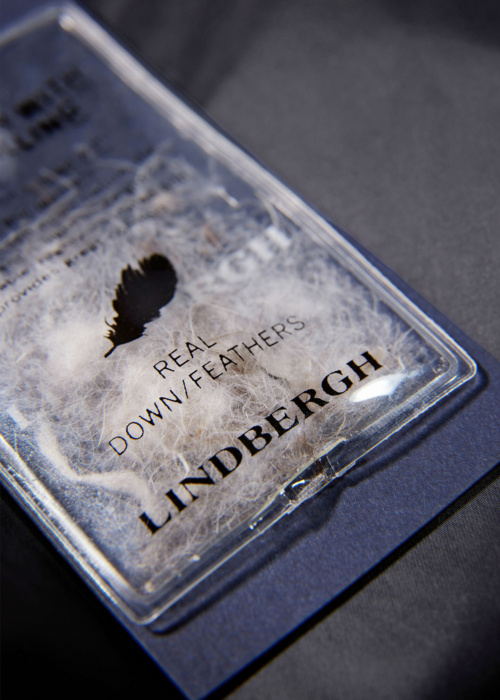 Зимний пуховик Down Lindbergh