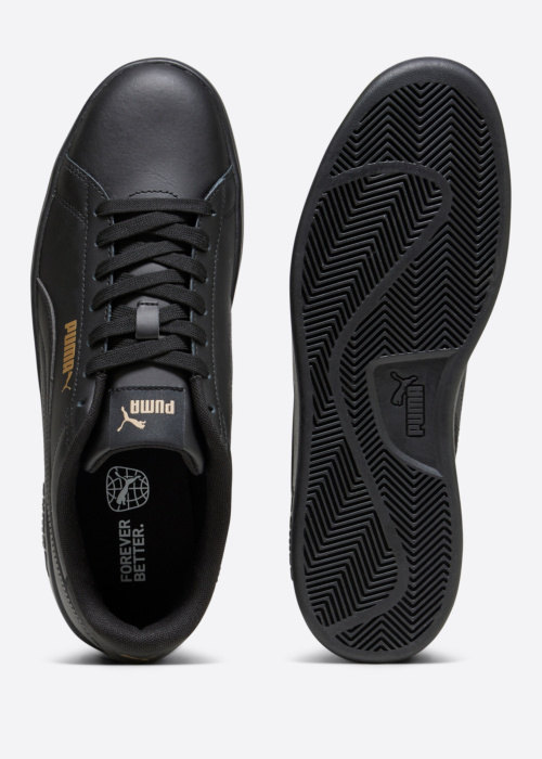 Puma kedas