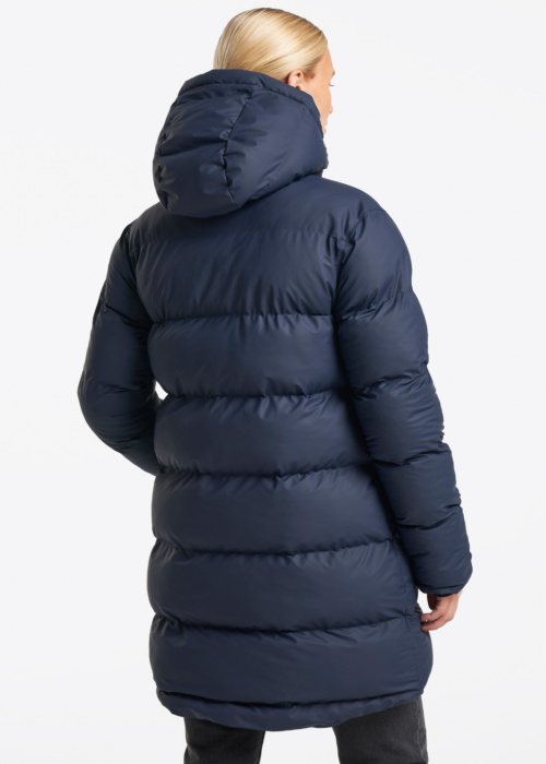 Tenson ziemas metelis