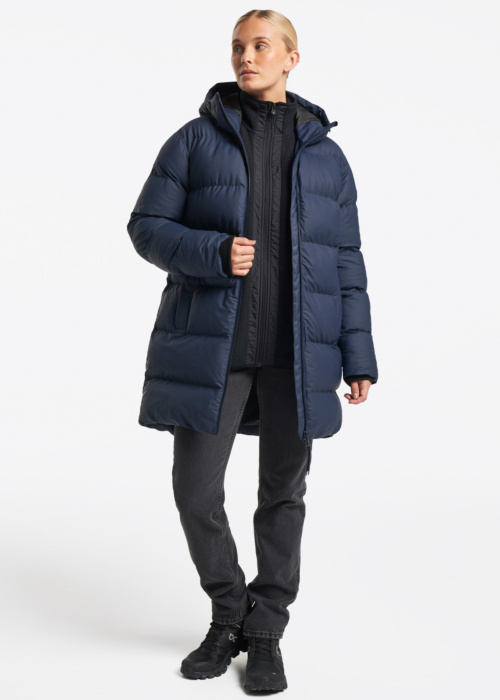 Tenson ziemas metelis