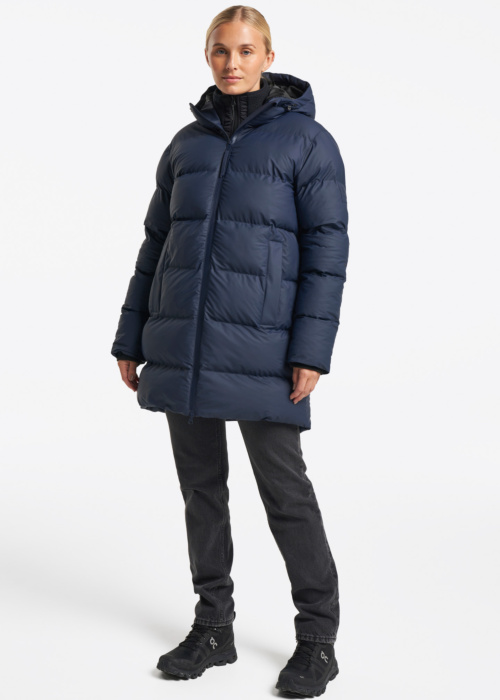 Tenson ziemas metelis