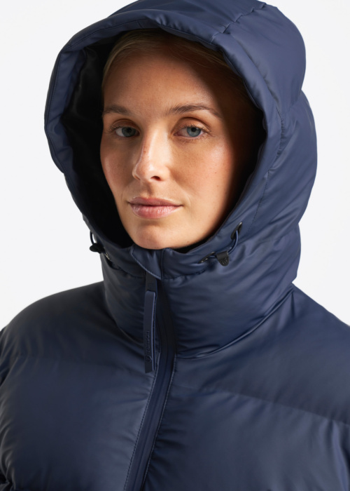 Tenson ziemas metelis