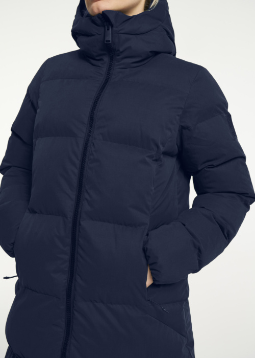 Tenson ziemas metelis Cevina