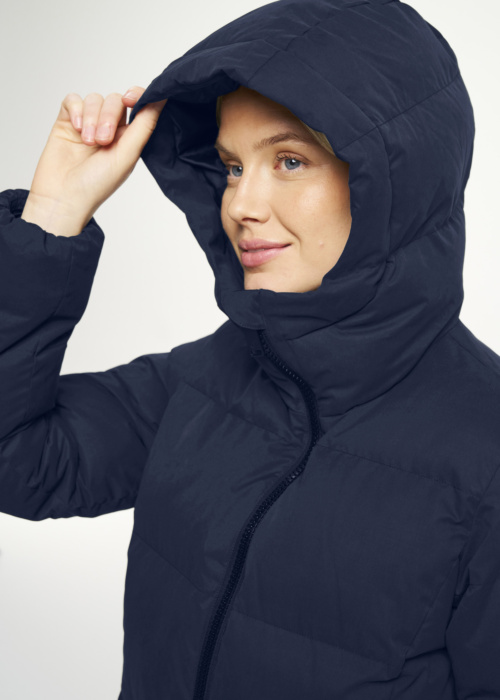 Tenson ziemas metelis Cevina