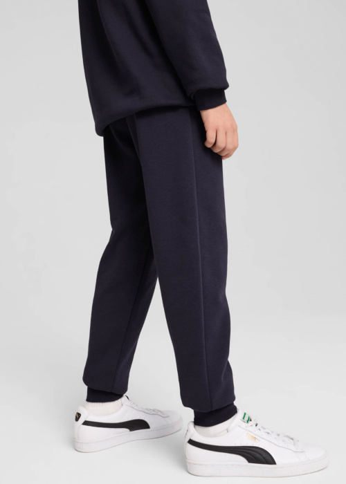 Puma sporta bikses Ess No. 1