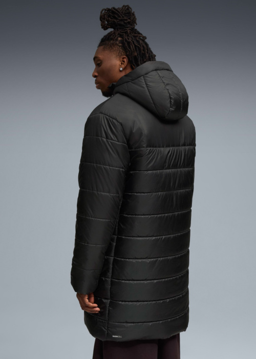 Puma ziemas metelis Ess