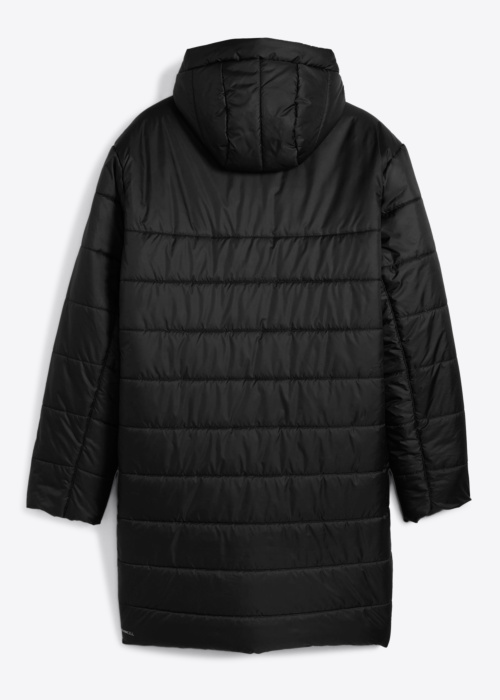 Puma ziemas metelis Ess