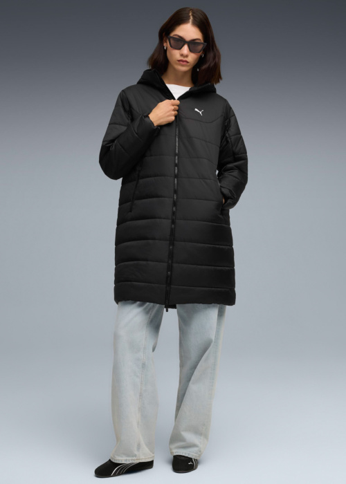 Puma ziemas metelis Ess