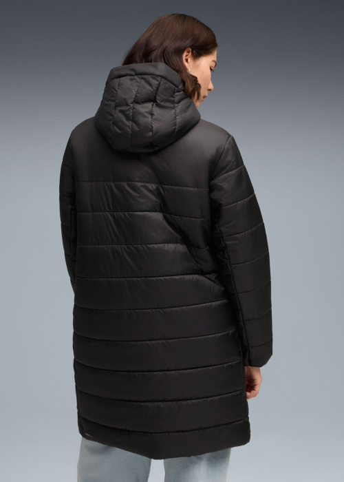 Puma ziemas metelis Ess