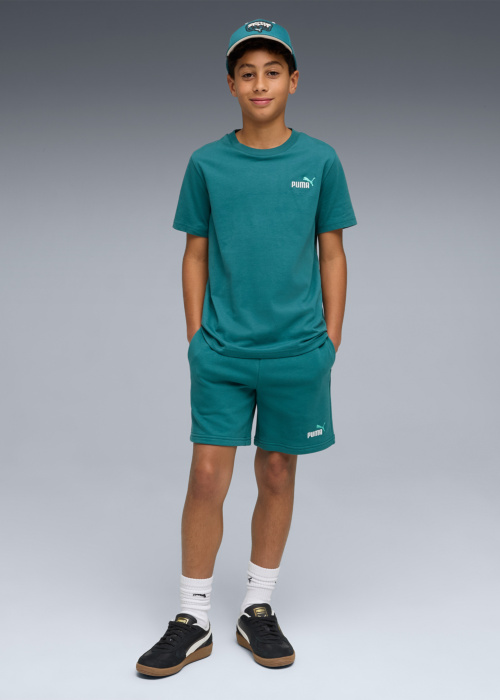 Брюки Ess 2col логотип Puma