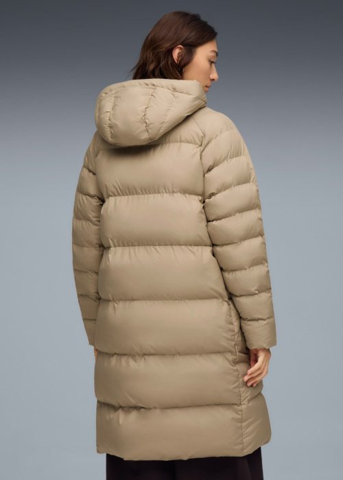 Puma ziemas metelis Mono