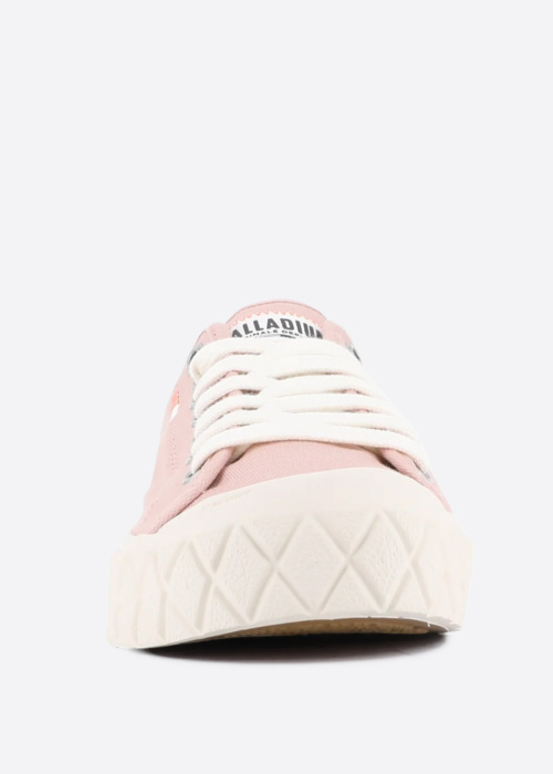 Palladium kedas Palla Ace Cvs Org