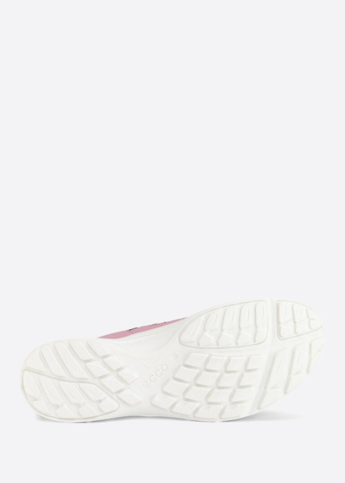 Ecco apavi soļošanai Terracruise LT W