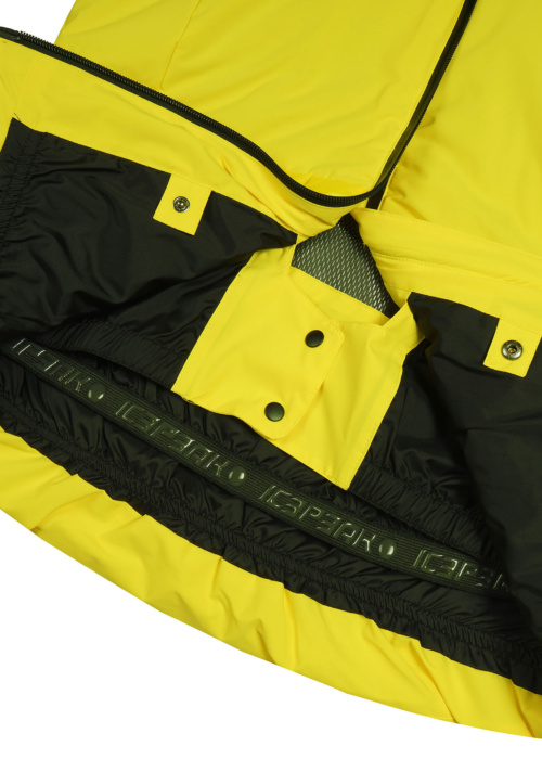 Зимняя спортивная куртка Erlansee Icepeak