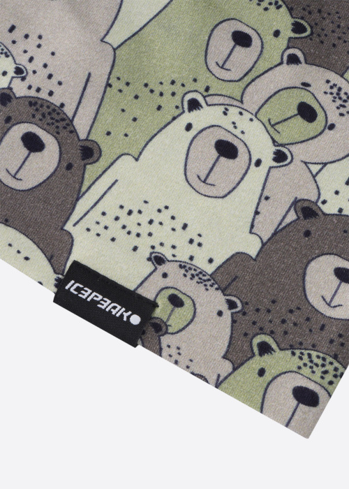 Шапка Hilliard Kd Icepeak