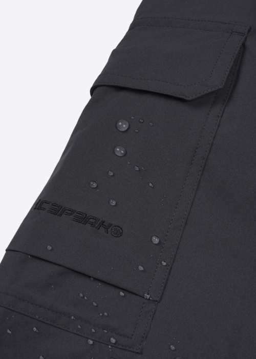 Штаны для походов Braswell Icepeak