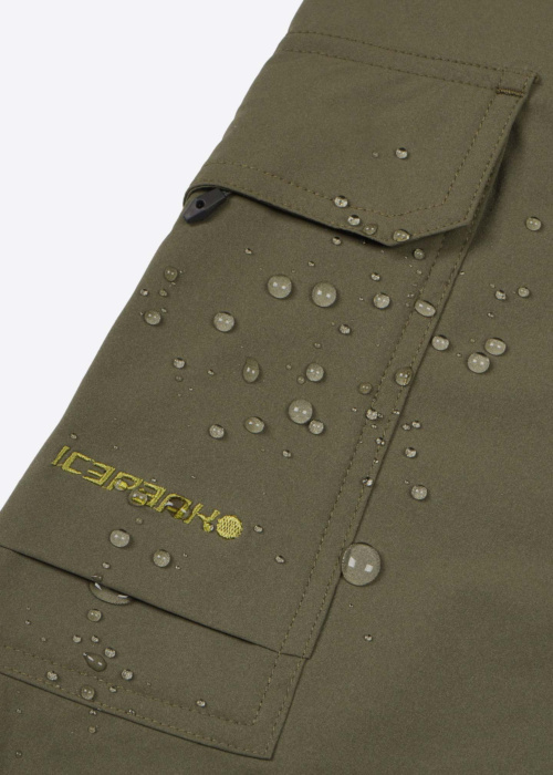 Штаны для походов Braswell Icepeak