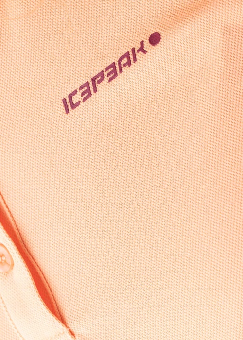 Рубашка-поло Bayard Icepeak