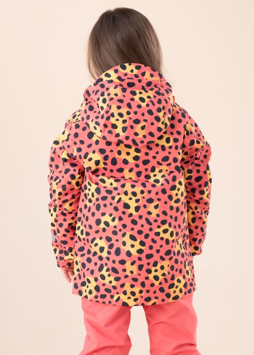 Didriksons pavasara-rudens virsjaka Norma