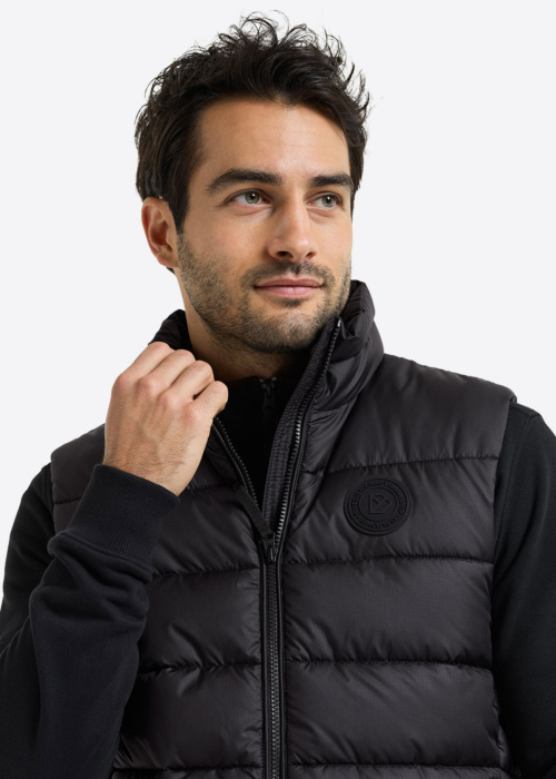 Didriksons veste Anton