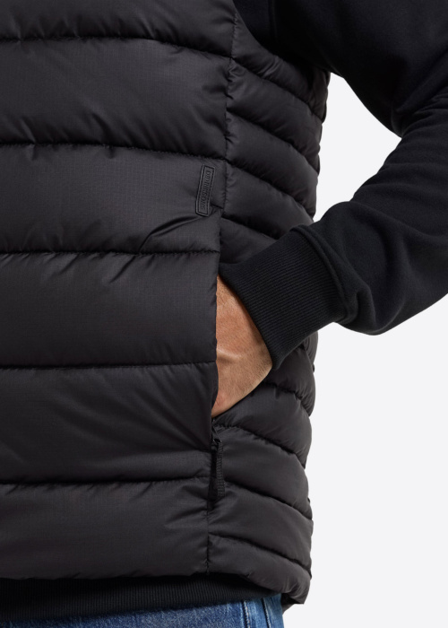 Didriksons veste Anton
