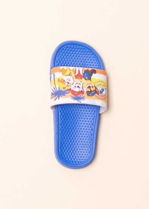 Leomil baseina iešļūcenes Paw Patrol