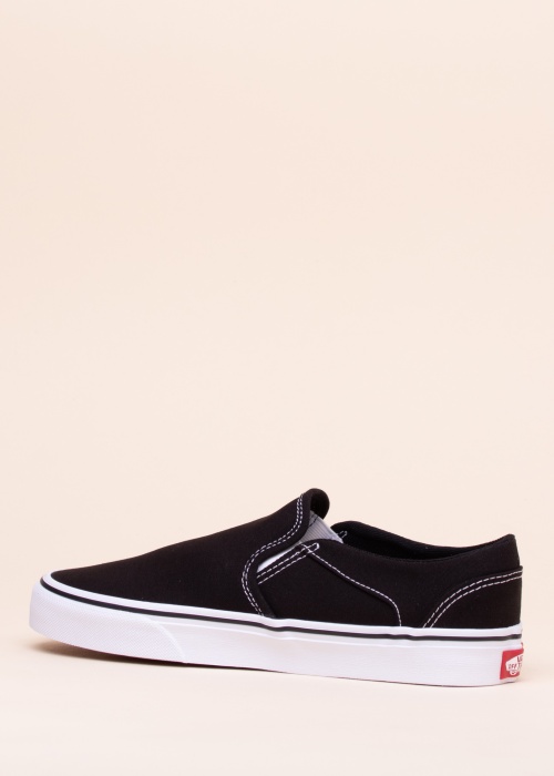 Vans kedas Asher