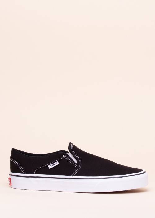 Vans kedas Asher