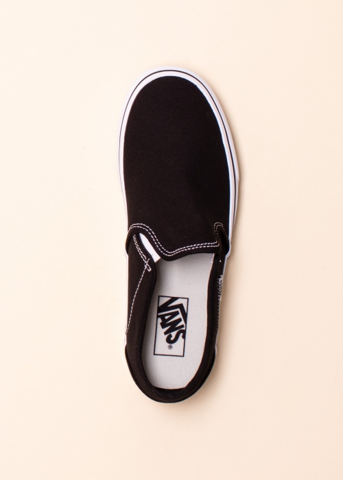 Vans kedas Asher