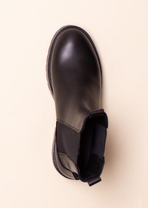 Pavement puszābaki Katelyn