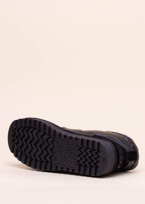 Colors of California ziemas zābaki