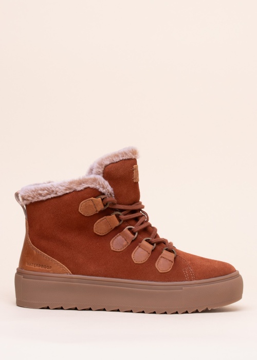 Cougar puszābaki Avril O