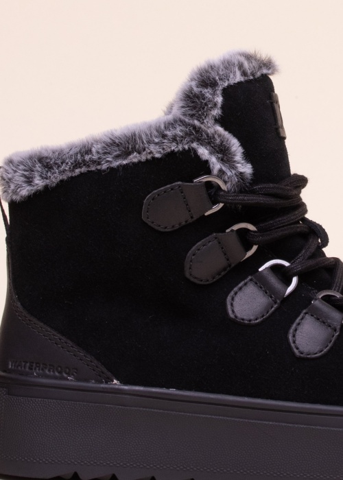 Cougar puszābaki Avril O