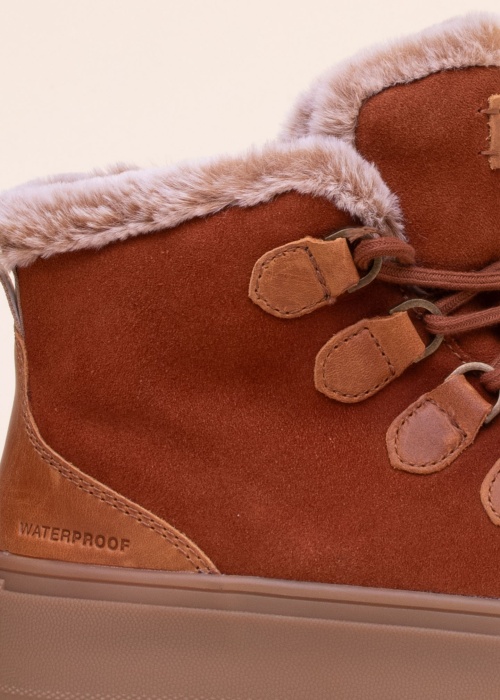 Cougar puszābaki Avril O