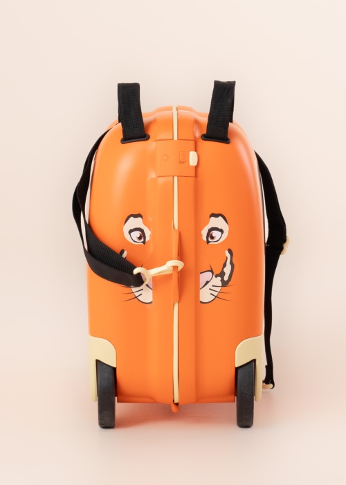 Чемодан Dream2go Samsonite