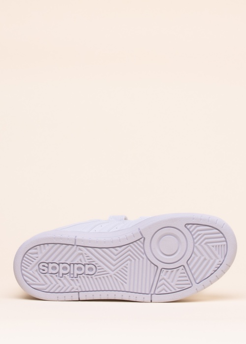 adidas kedas Hoops