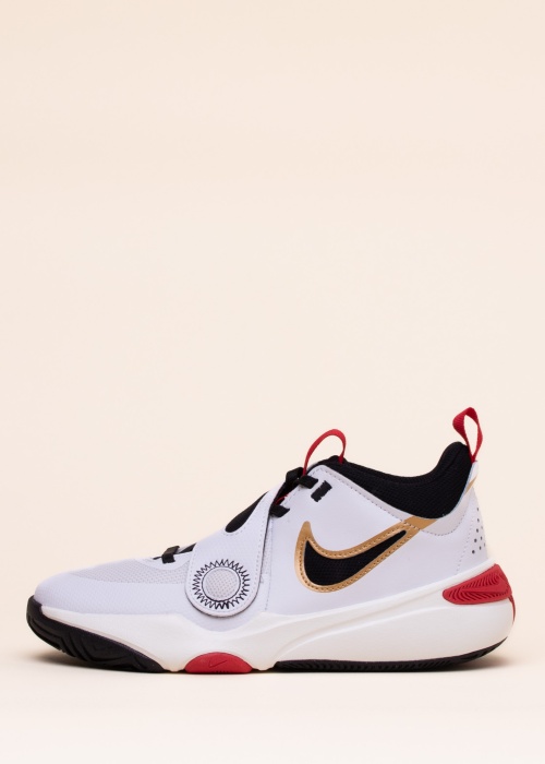 Баскетбольные кроссовки Team Hustle D 11 Nike