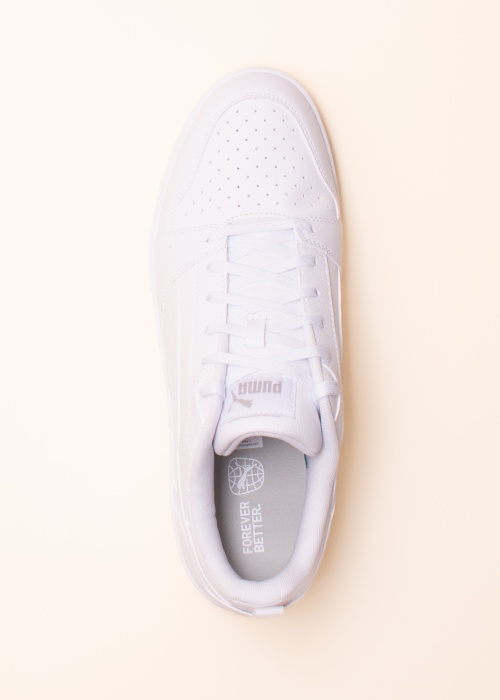 Puma kedas Rebound V6